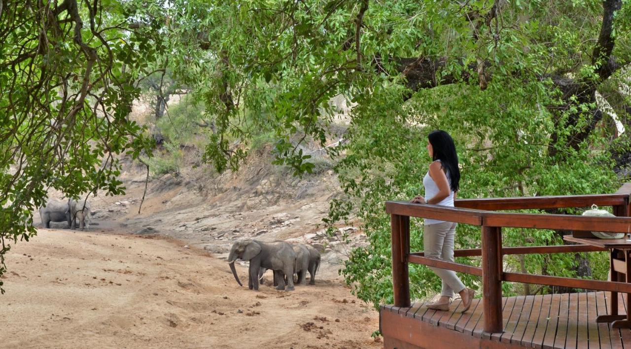 Hamiltons Tented Camp Mluwati Concession Extérieur photo