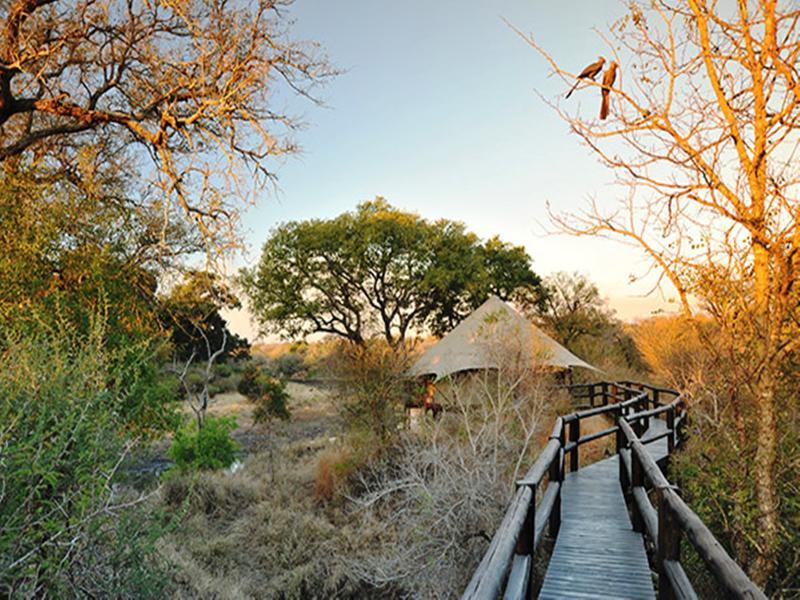 Hamiltons Tented Camp Mluwati Concession Extérieur photo