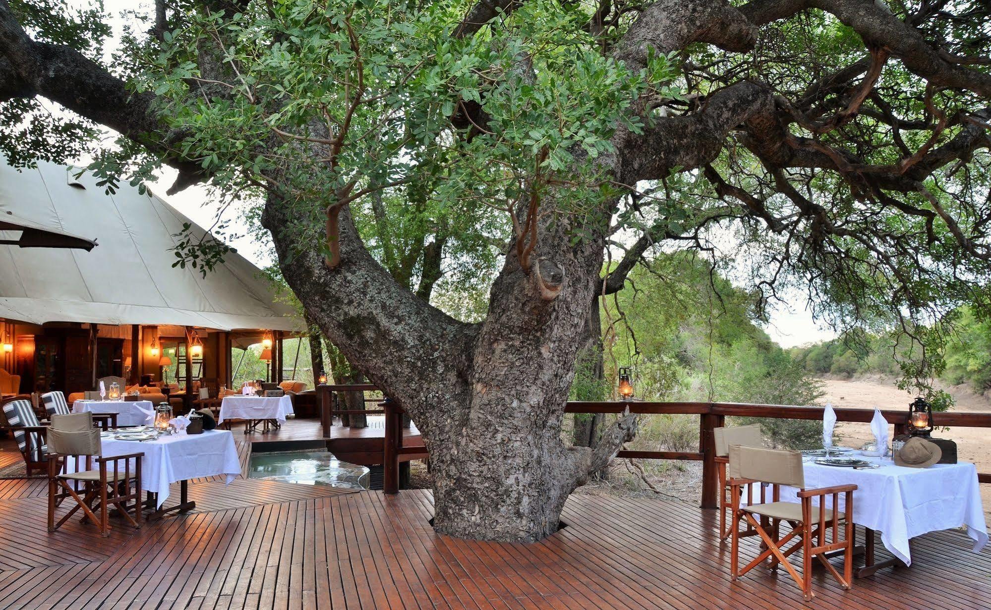 Hamiltons Tented Camp Mluwati Concession Extérieur photo