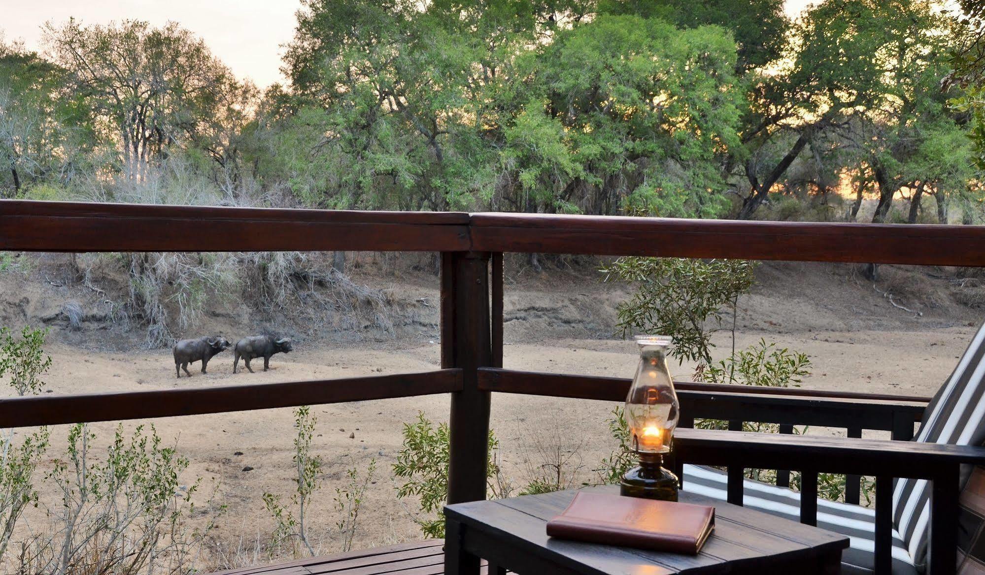 Hamiltons Tented Camp Mluwati Concession Extérieur photo