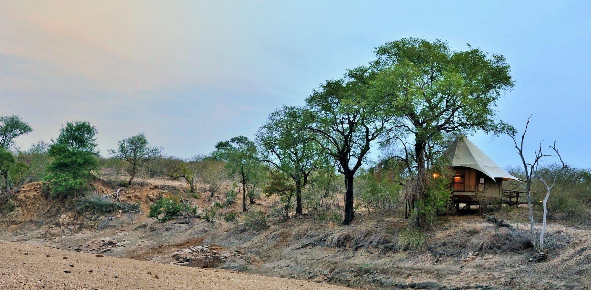Hamiltons Tented Camp Mluwati Concession Extérieur photo